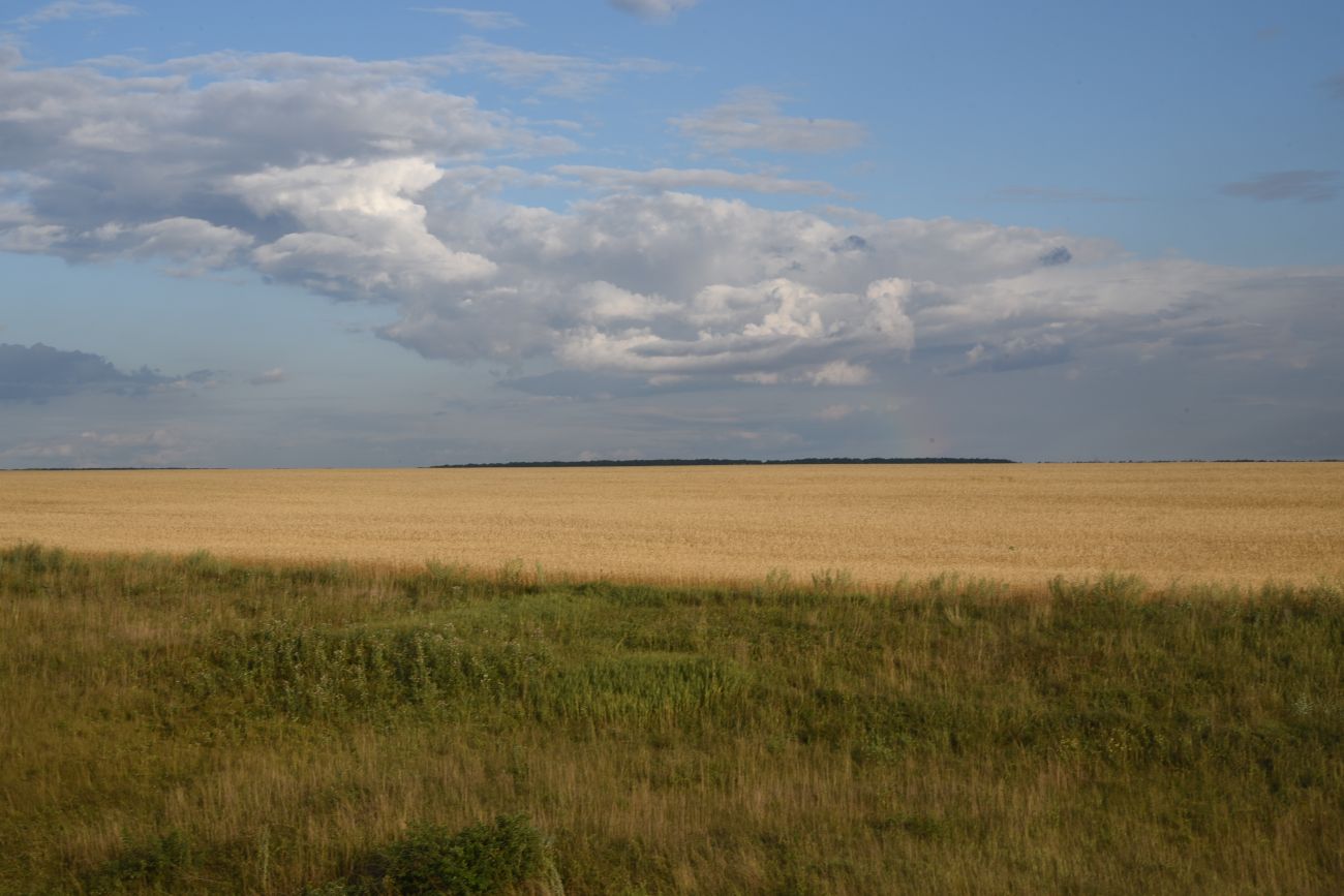 Село Никольское, изображение ландшафта.