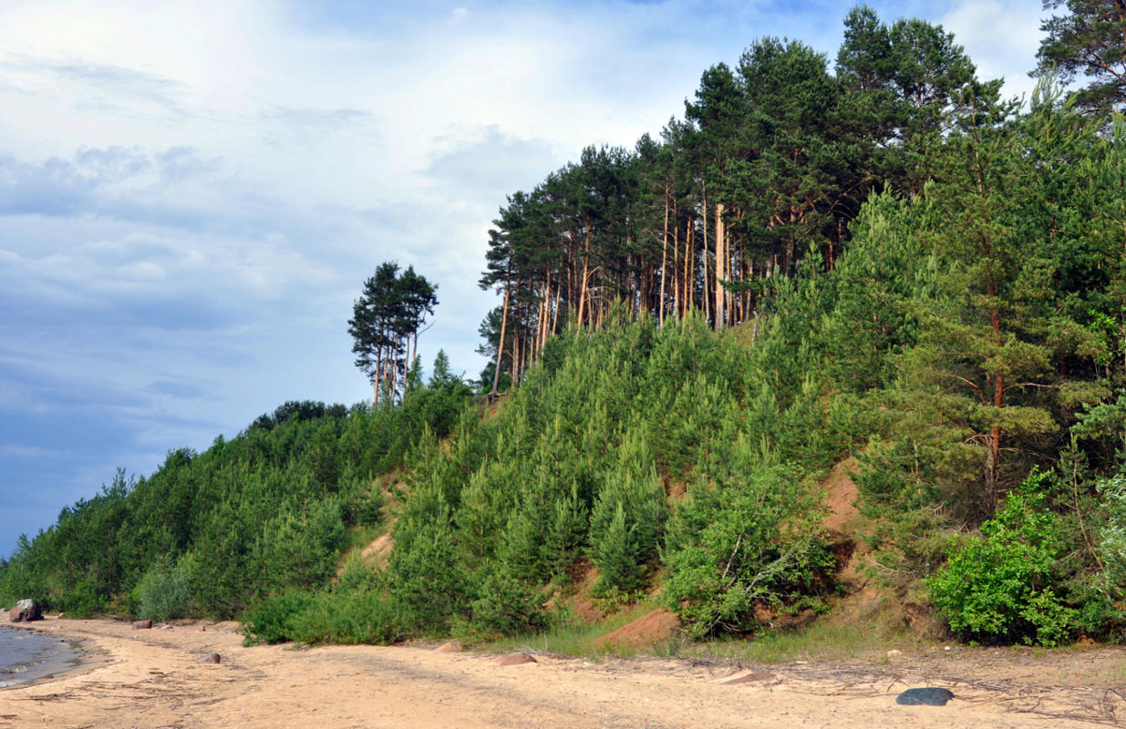 Остров Верхний, image of landscape/habitat.