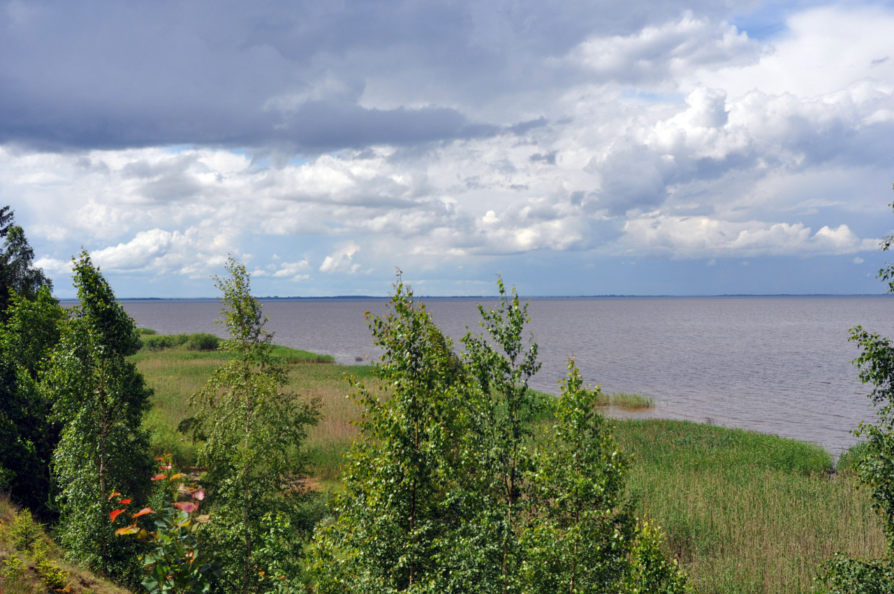 Остров Верхний, image of landscape/habitat.