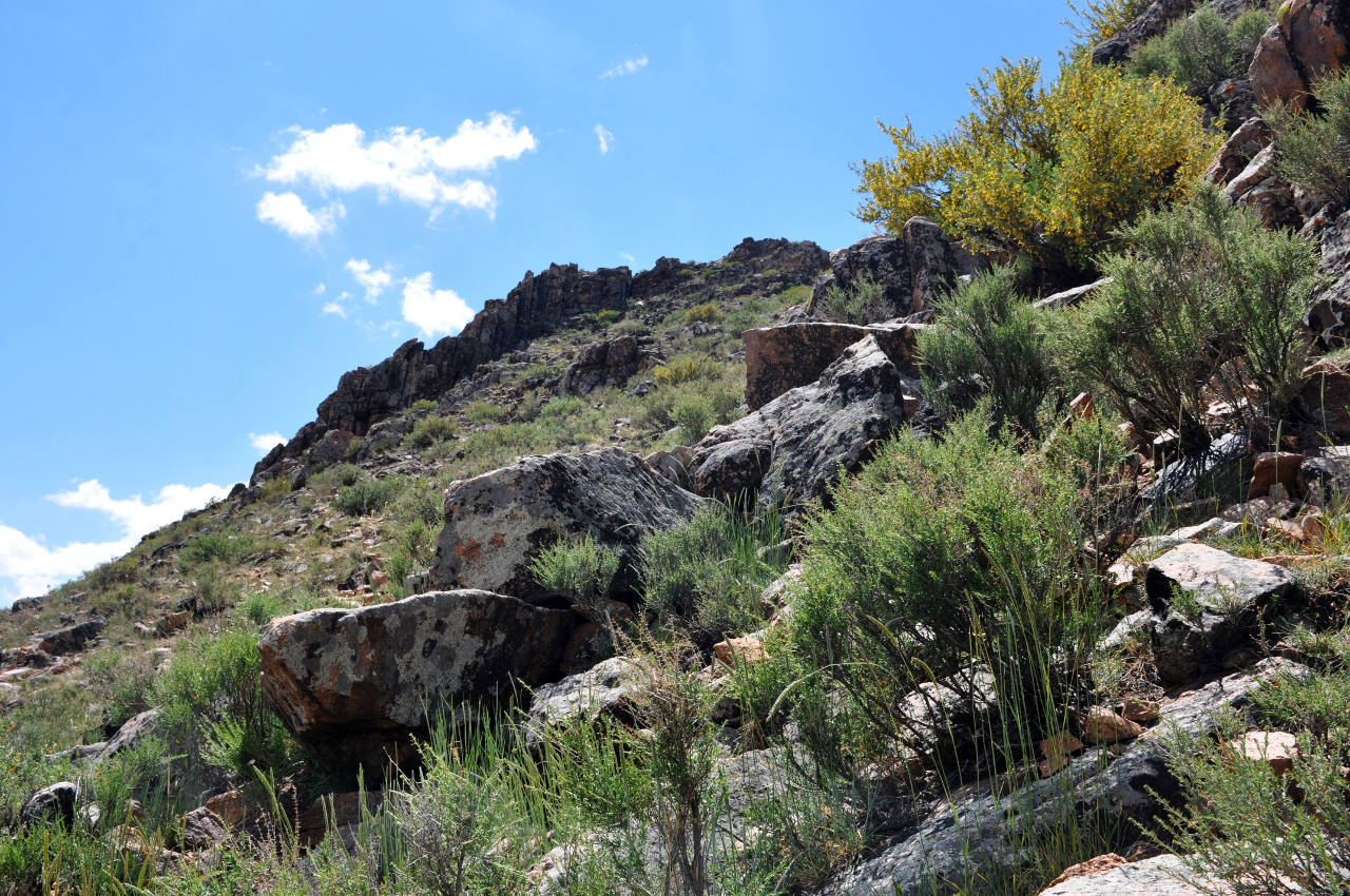 Окрестности поселка Сантмаргац, image of landscape/habitat.