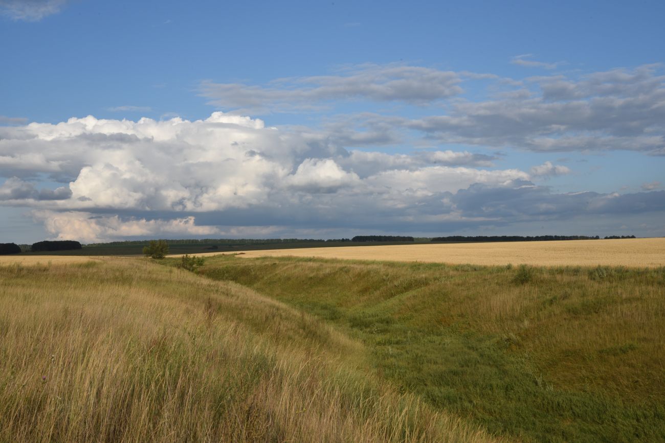 Село Никольское, image of landscape/habitat.