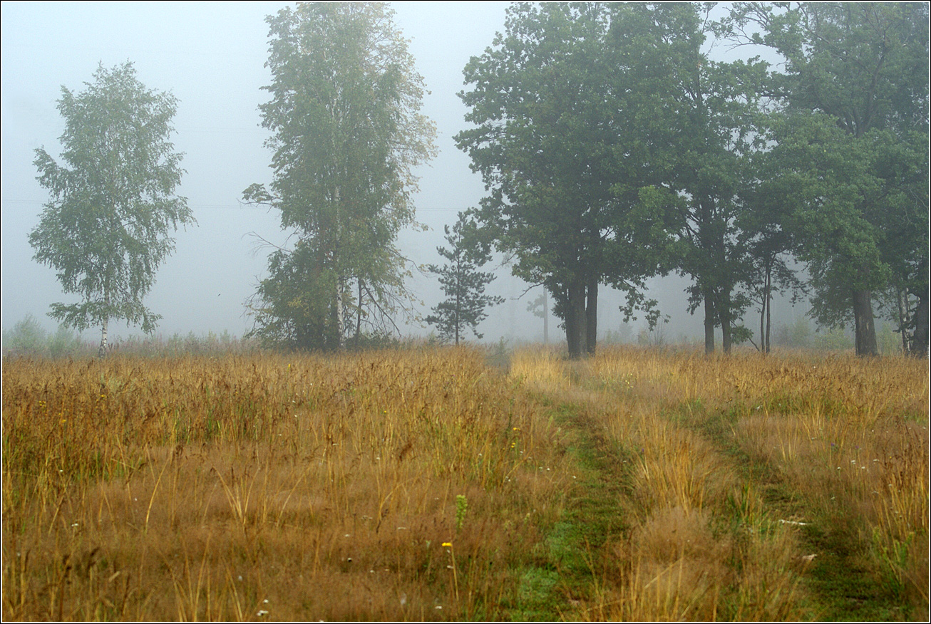 Окрестности Хрипани, image of landscape/habitat.