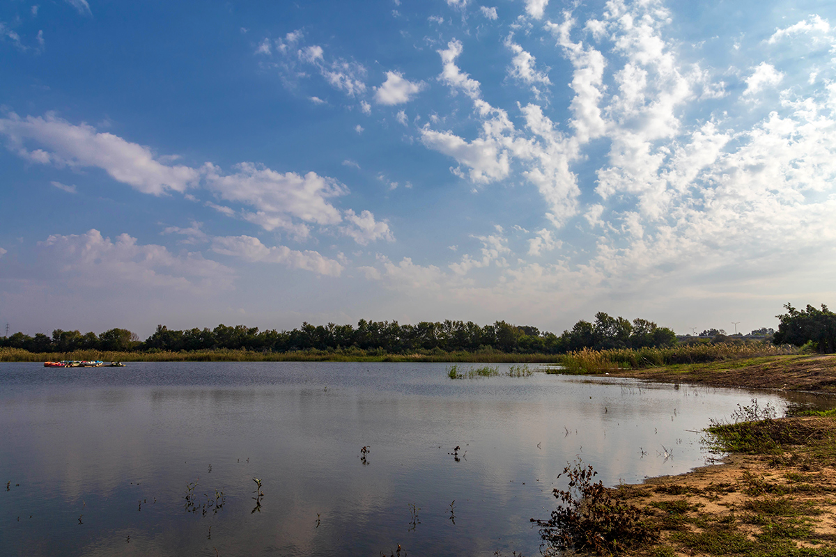 Ришон-ле-Цион и окрестности, image of landscape/habitat.