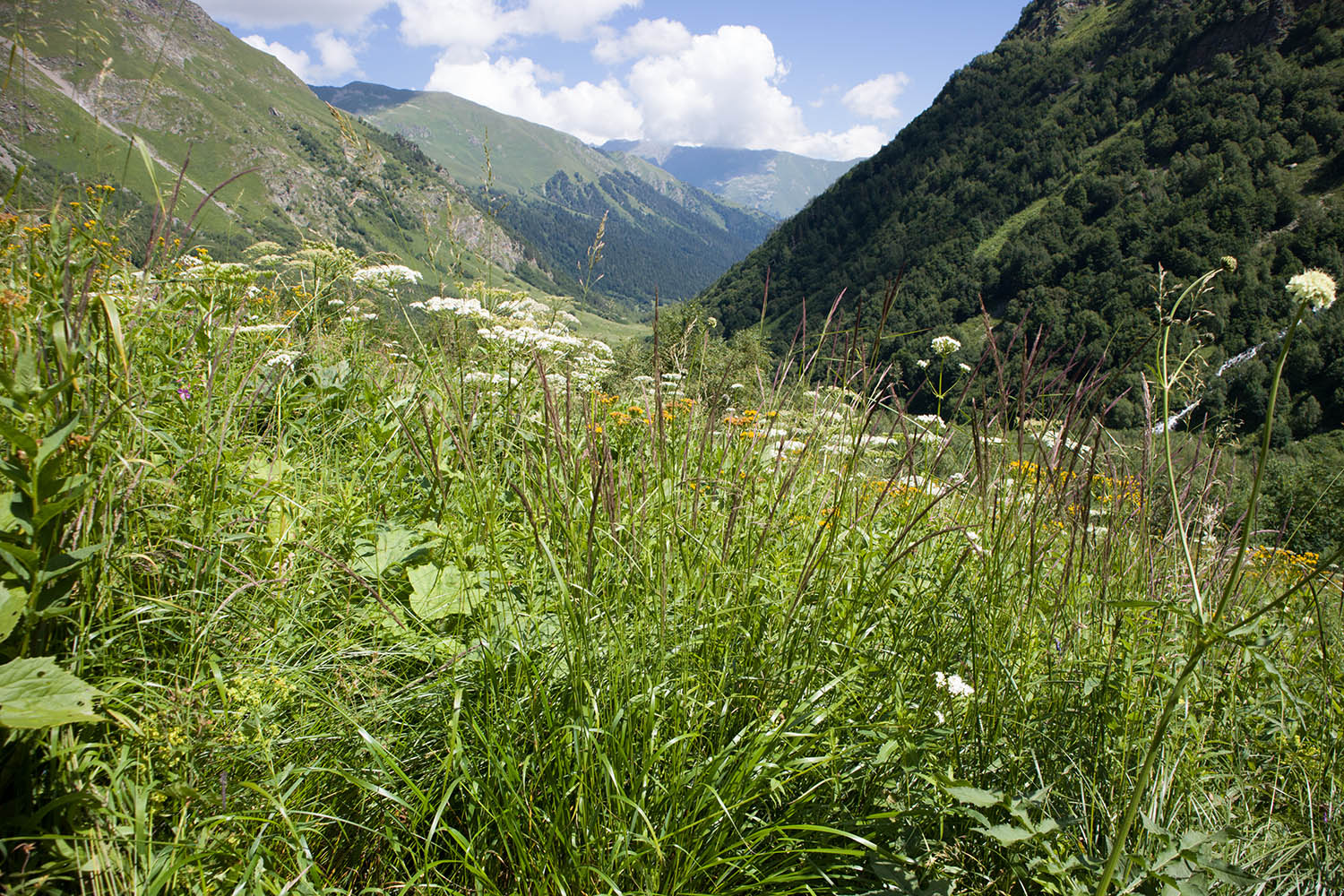 Большой Имеретинский водопад, image of landscape/habitat.