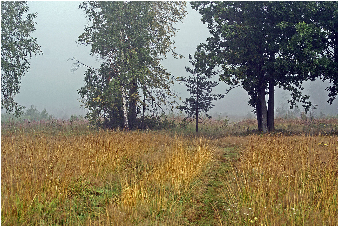 Окрестности Хрипани, image of landscape/habitat.