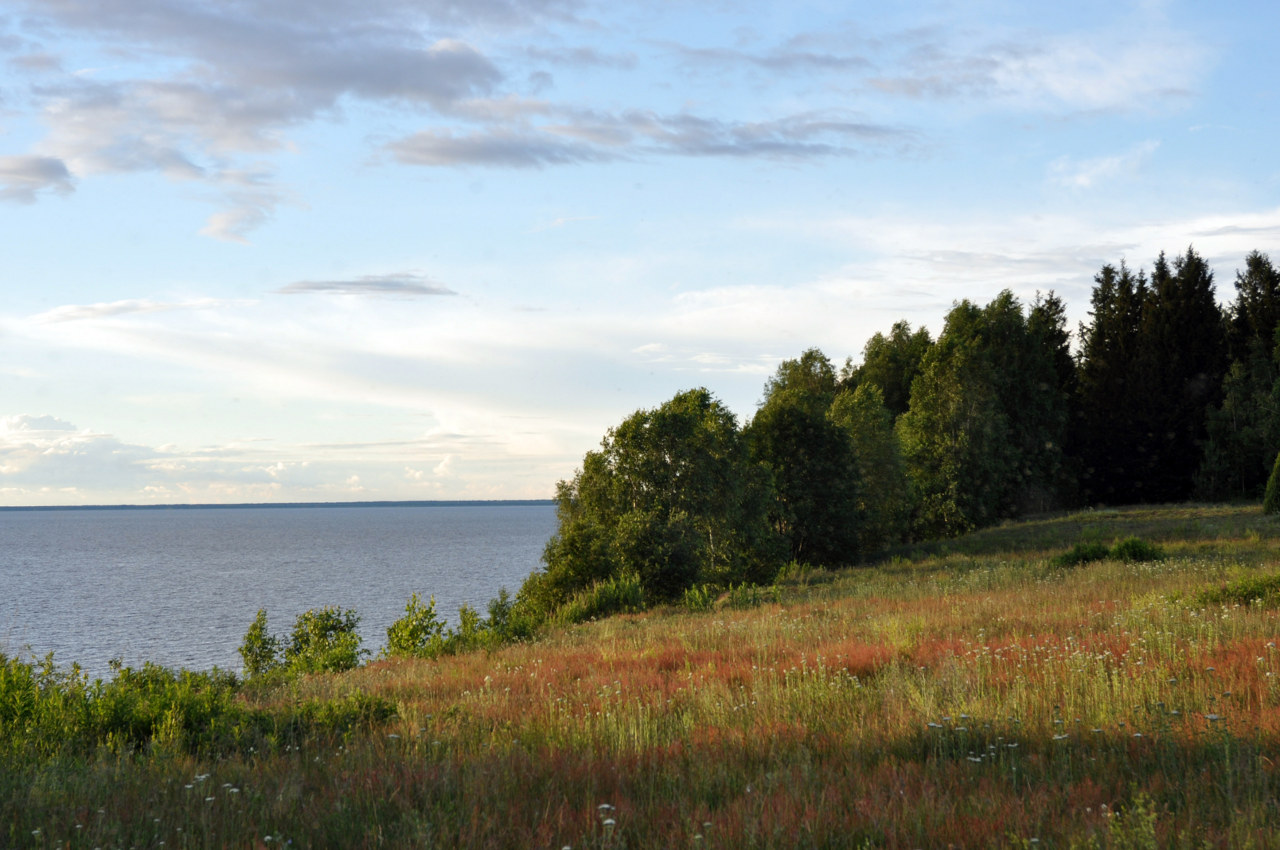 Остров Верхний, image of landscape/habitat.