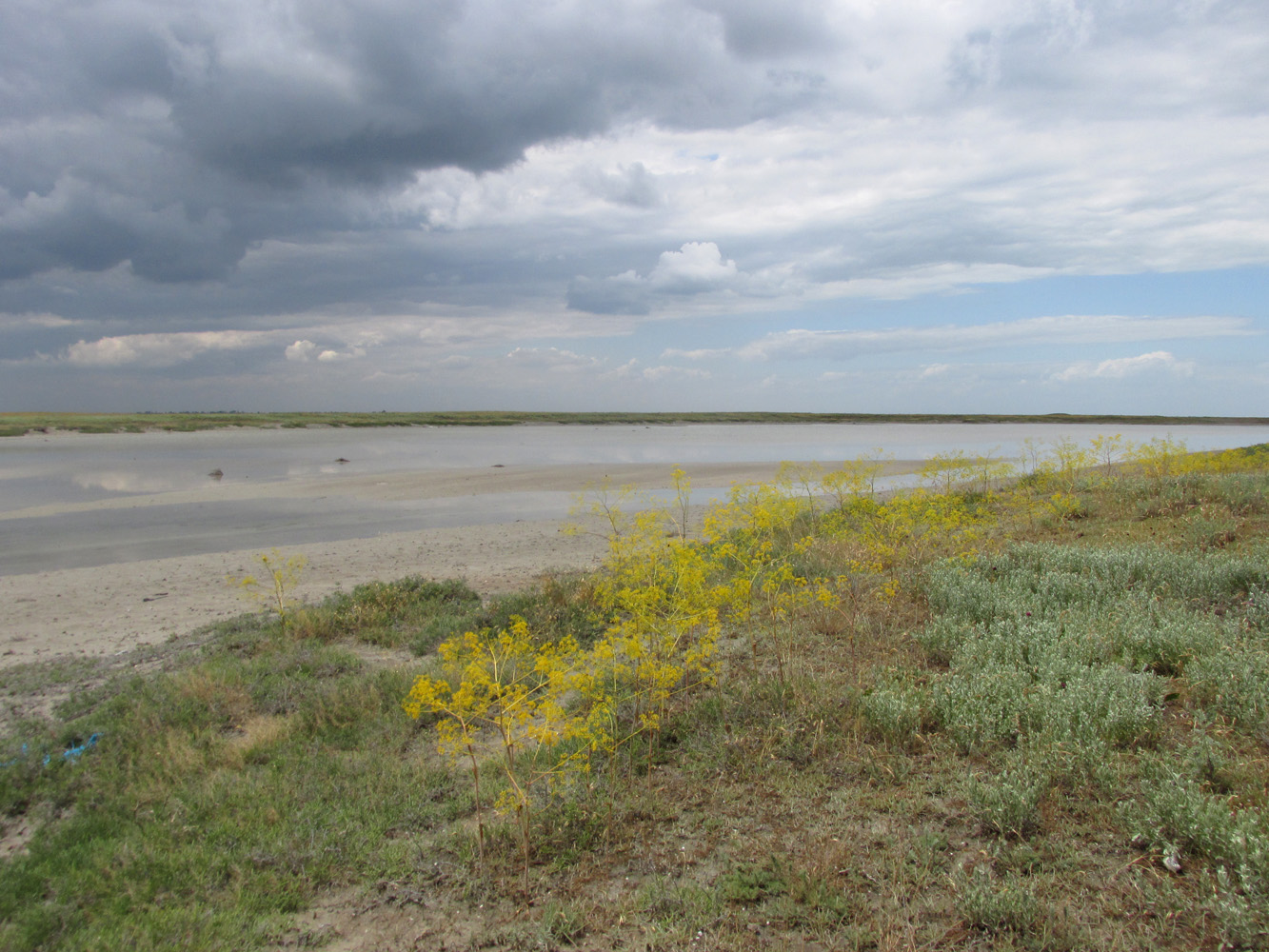 Заказник Присивашский, image of landscape/habitat.