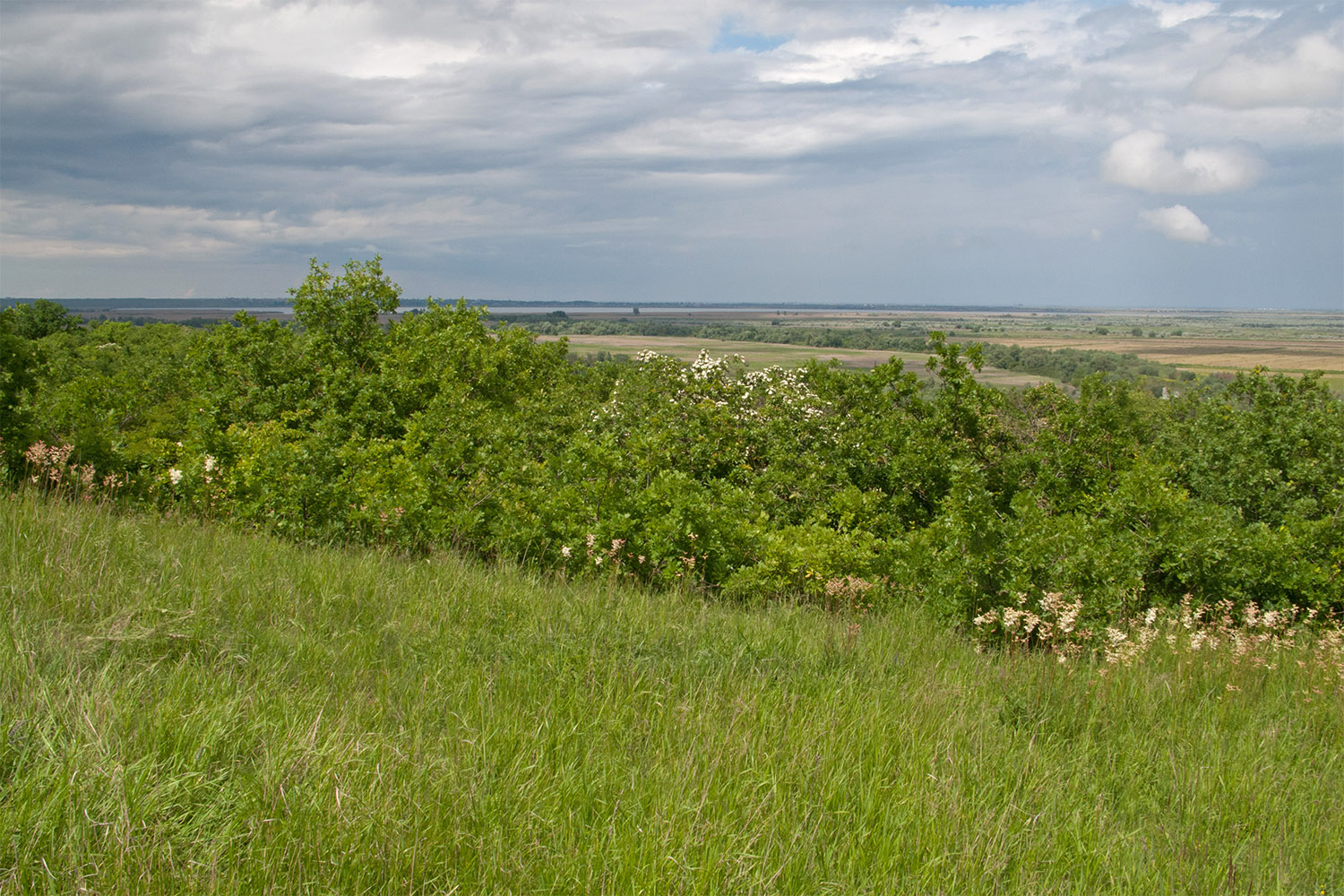 Дубовый Рынок, image of landscape/habitat.