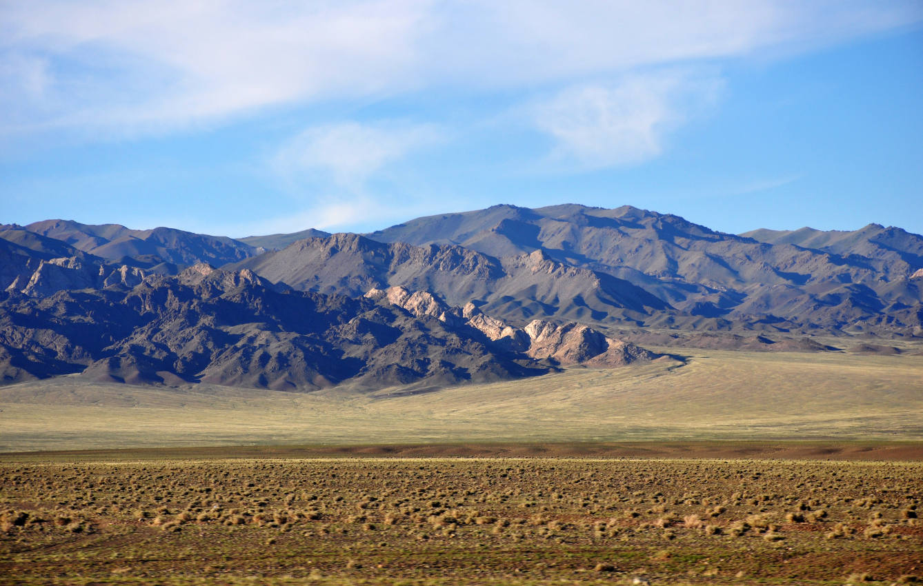 Озеро Хяргас-Нуур, image of landscape/habitat.