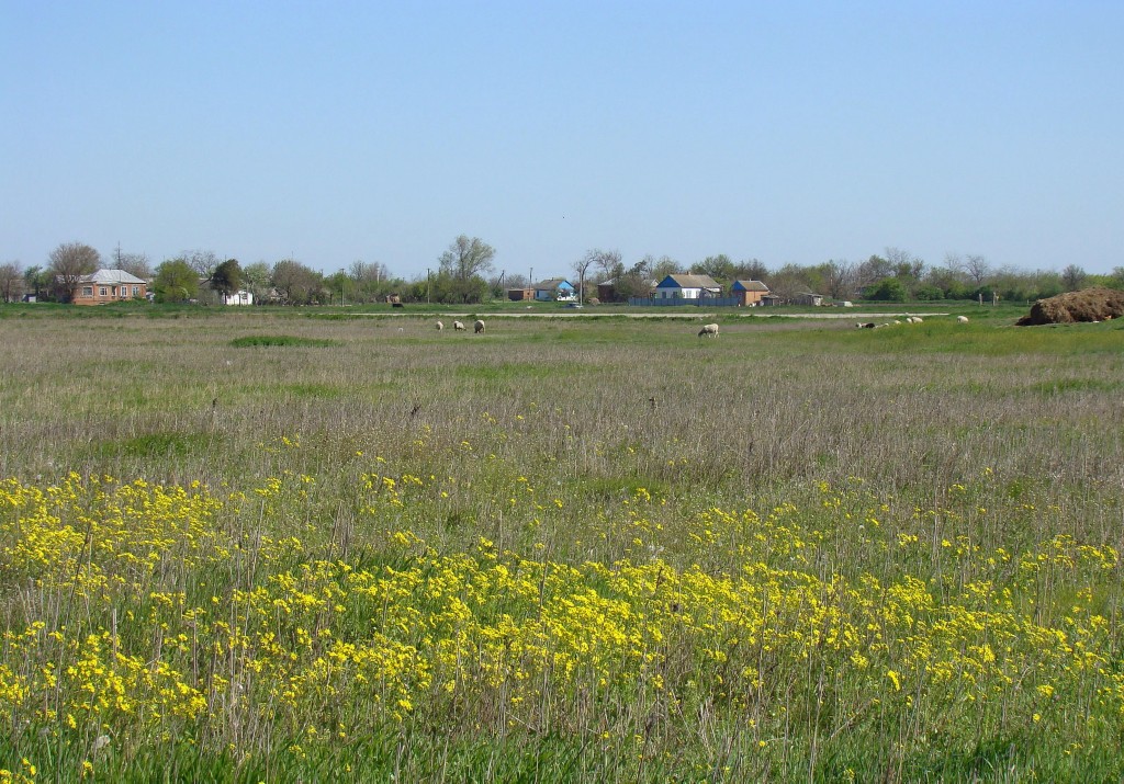 Сага, image of landscape/habitat.