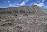 Ирхтский залив, image of landscape/habitat.