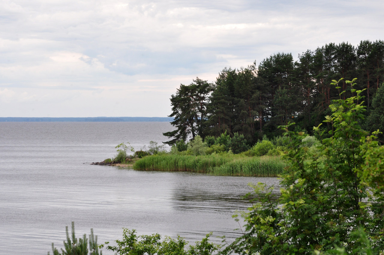 Остров Верхний, image of landscape/habitat.