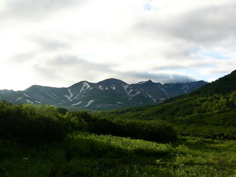 Кордон "Семеновский", image of landscape/habitat.