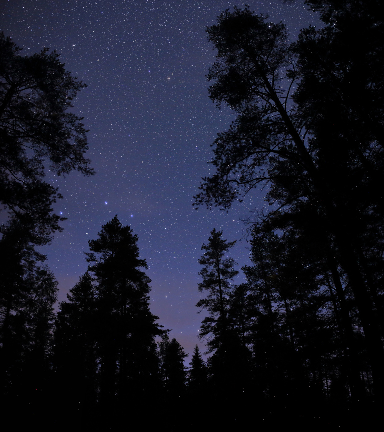 Окрестности Ихалы, image of landscape/habitat.