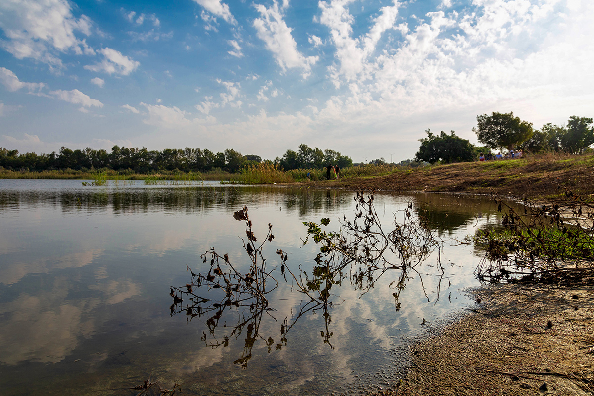 Ришон-ле-Цион и окрестности, image of landscape/habitat.