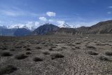 Ирхтский залив, image of landscape/habitat.