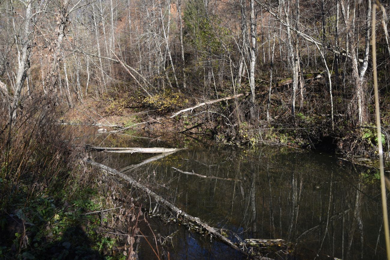 Окрестности деревни Семичёво, image of landscape/habitat.