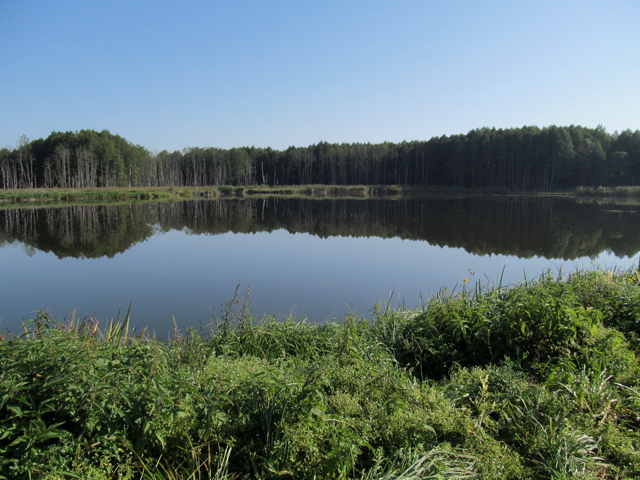 Водохранилище Косичи, image of landscape/habitat.