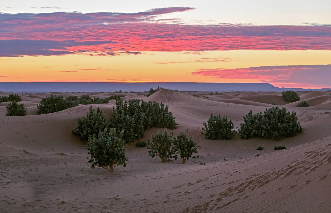 Эрг Шебби, image of landscape/habitat.