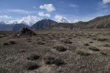 Ирхтский залив, image of landscape/habitat.