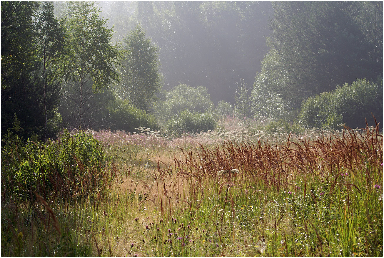 Окрестности Хрипани, изображение ландшафта.