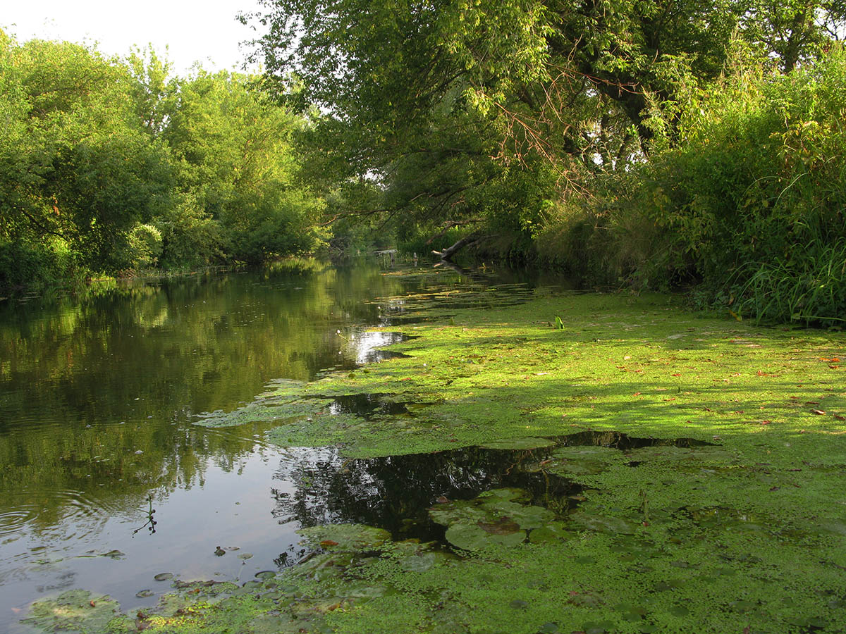 Среднее течение реки Усожа, image of landscape/habitat.