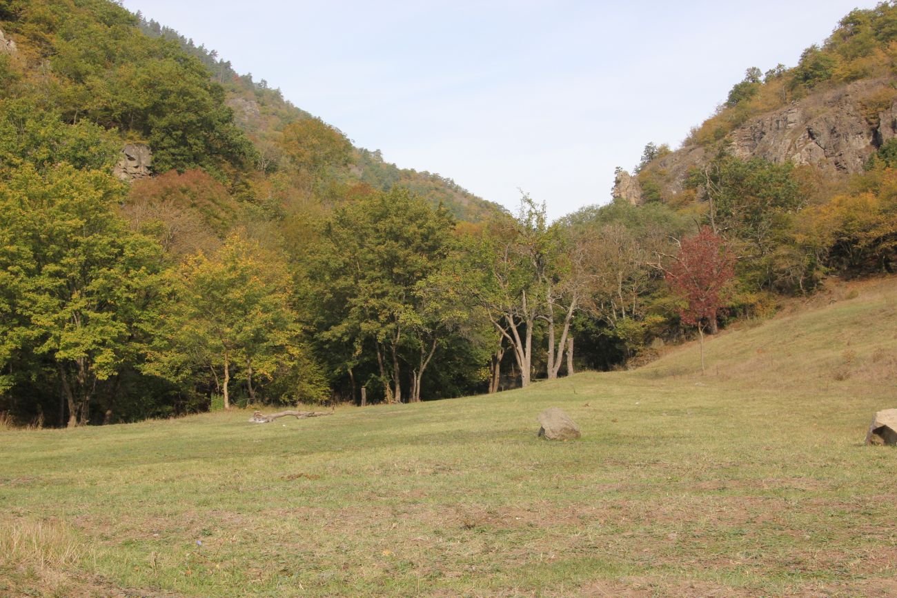 Окрестности устья ручья Читахеви, image of landscape/habitat.