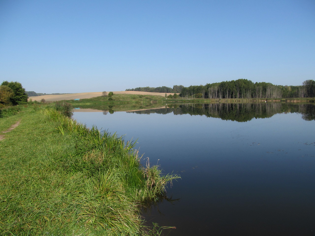 Водохранилище Косичи, image of landscape/habitat.