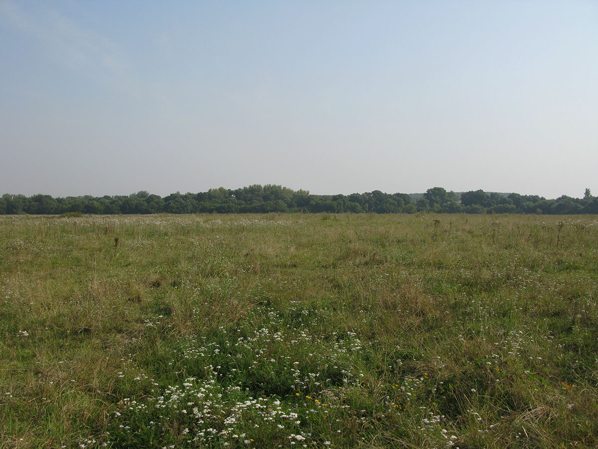 Среднее течение реки Усожа, image of landscape/habitat.