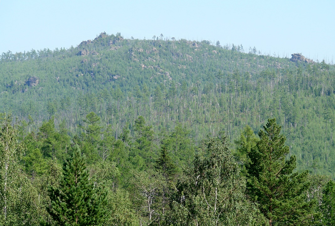 Глубокая, image of landscape/habitat.