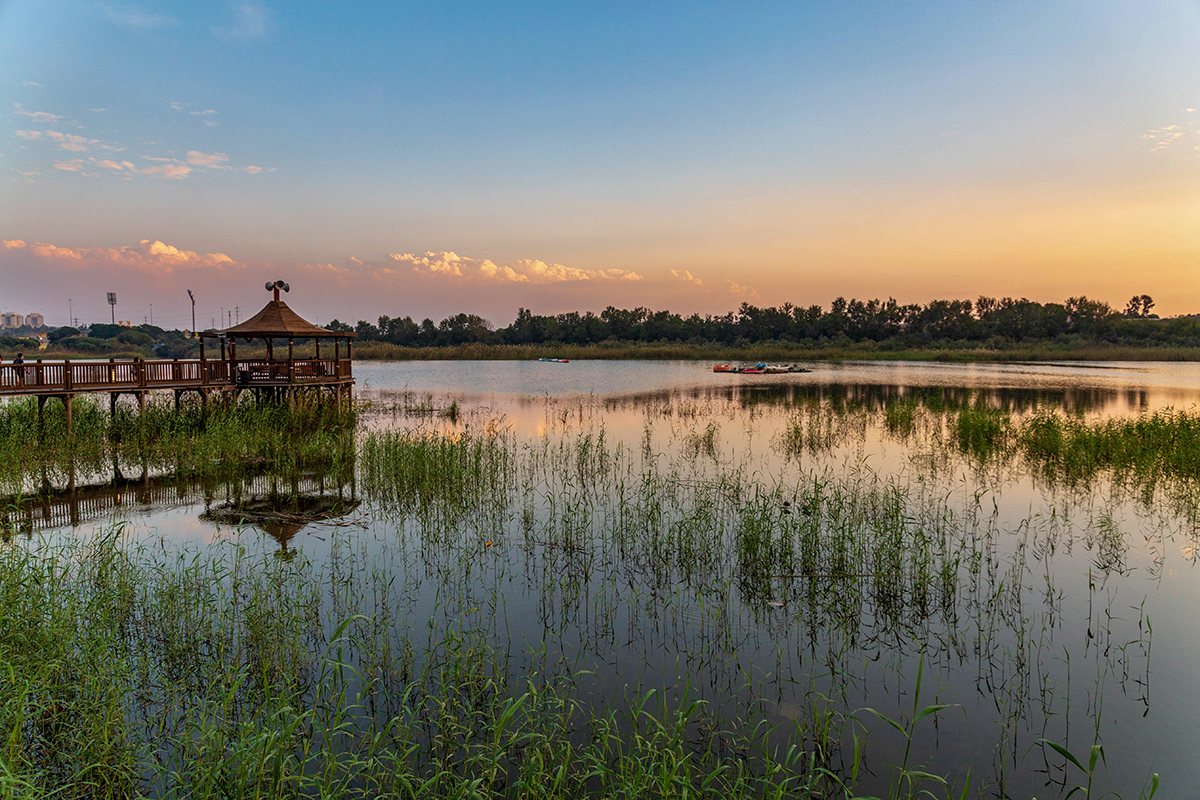 Ришон-ле-Цион и окрестности, image of landscape/habitat.