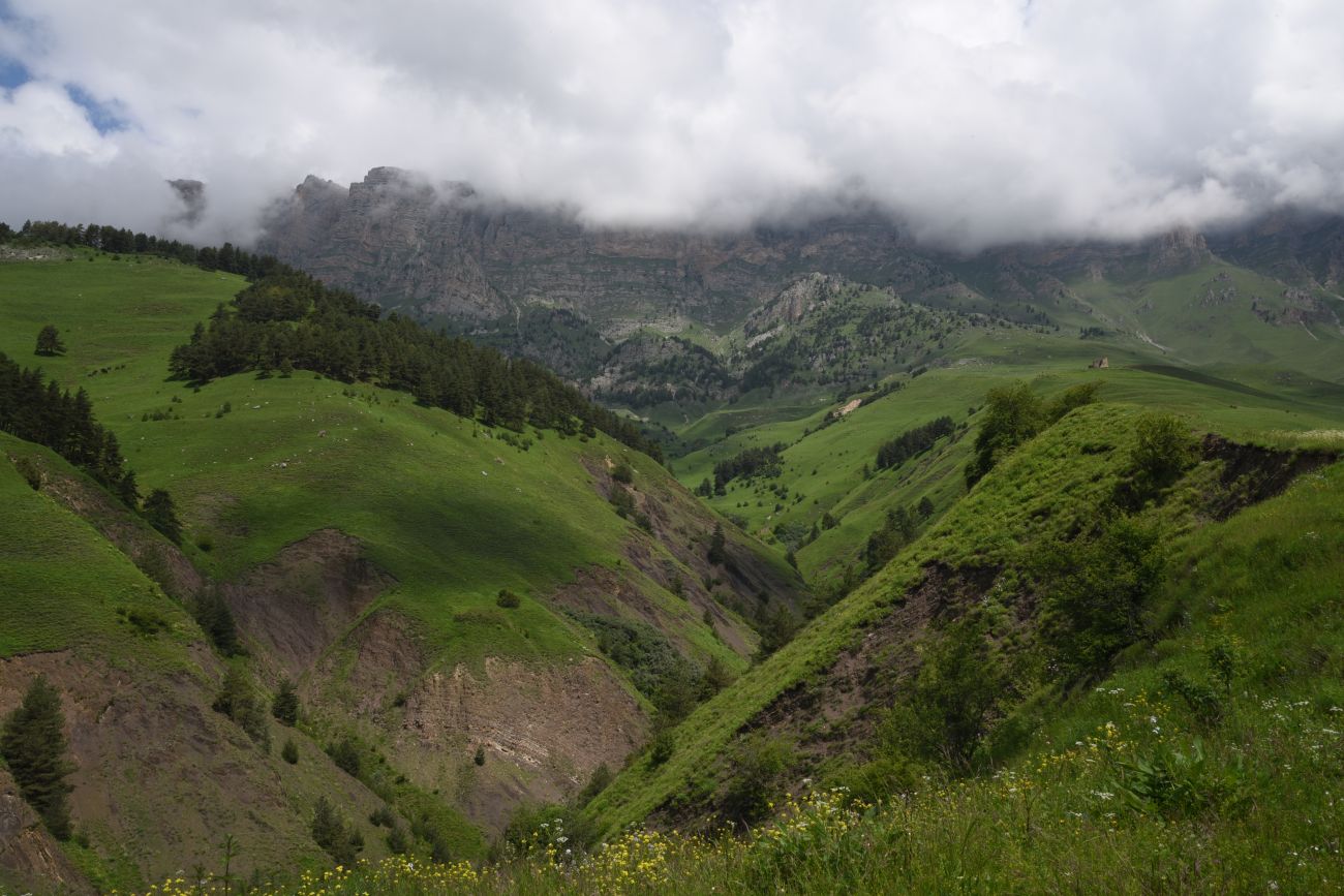 Окрестности урочища Меллер, image of landscape/habitat.