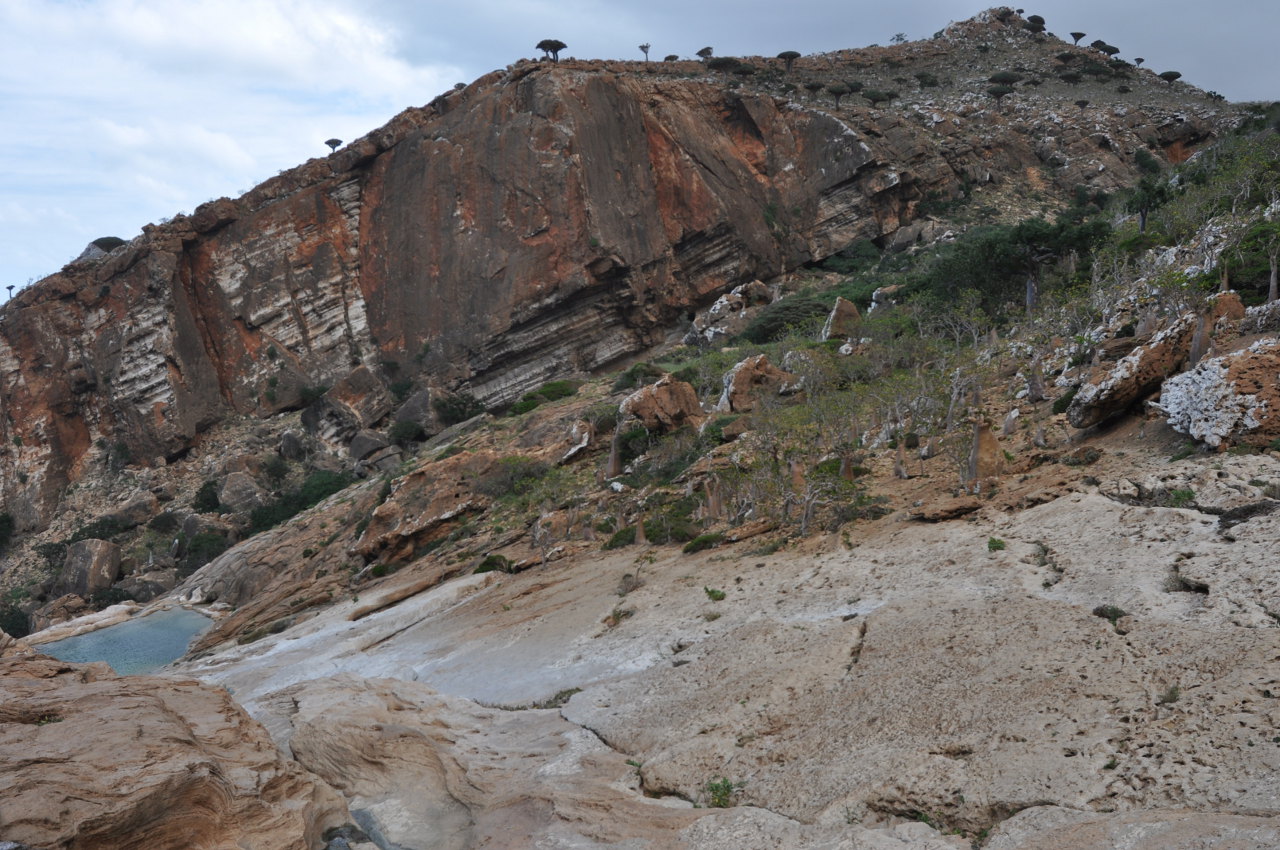 Плато Хомхи, image of landscape/habitat.