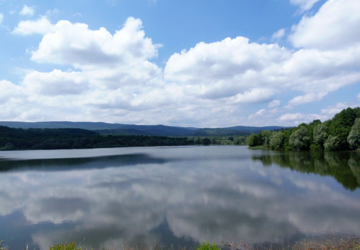 Трускавец, image of landscape/habitat.