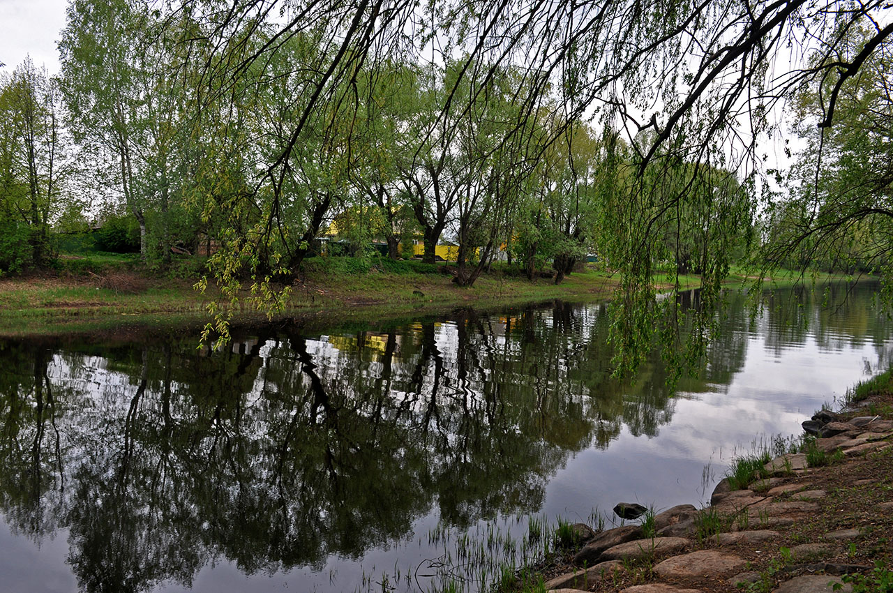 Старая Русса, image of landscape/habitat.