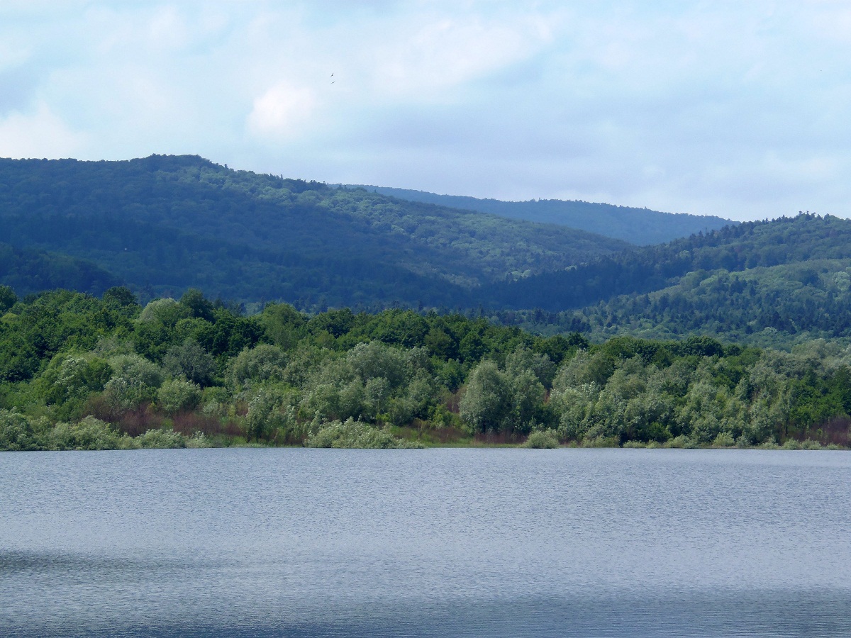 Трускавец, image of landscape/habitat.