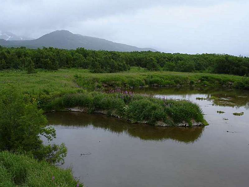 Озеро Начикинское, image of landscape/habitat.