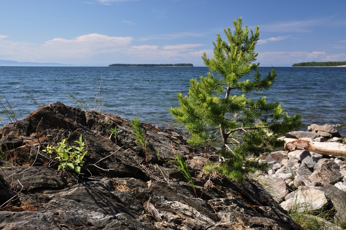 Байкал, мыс Повалишина, image of landscape/habitat.