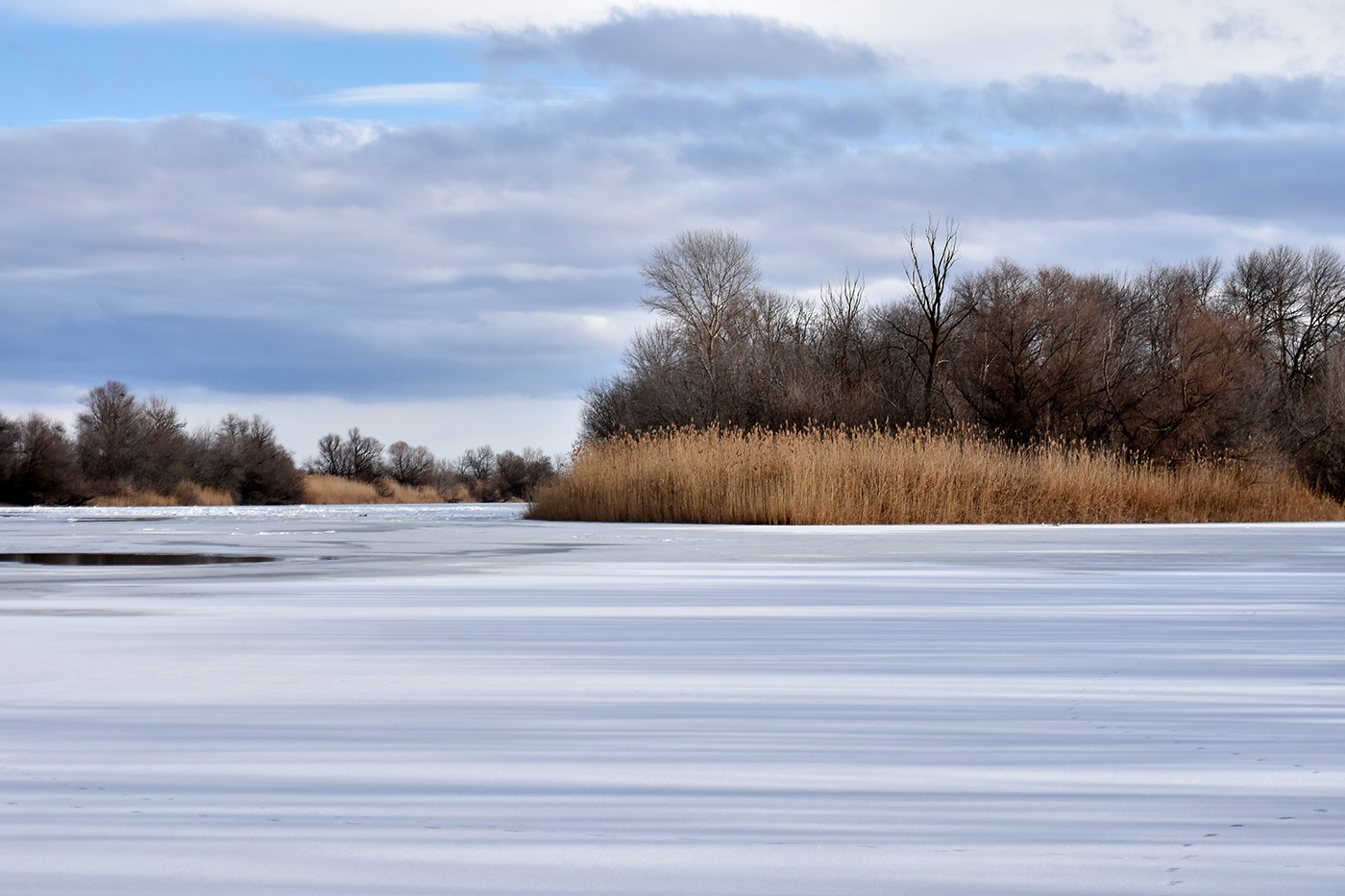 Дельта (средняя зона), image of landscape/habitat.