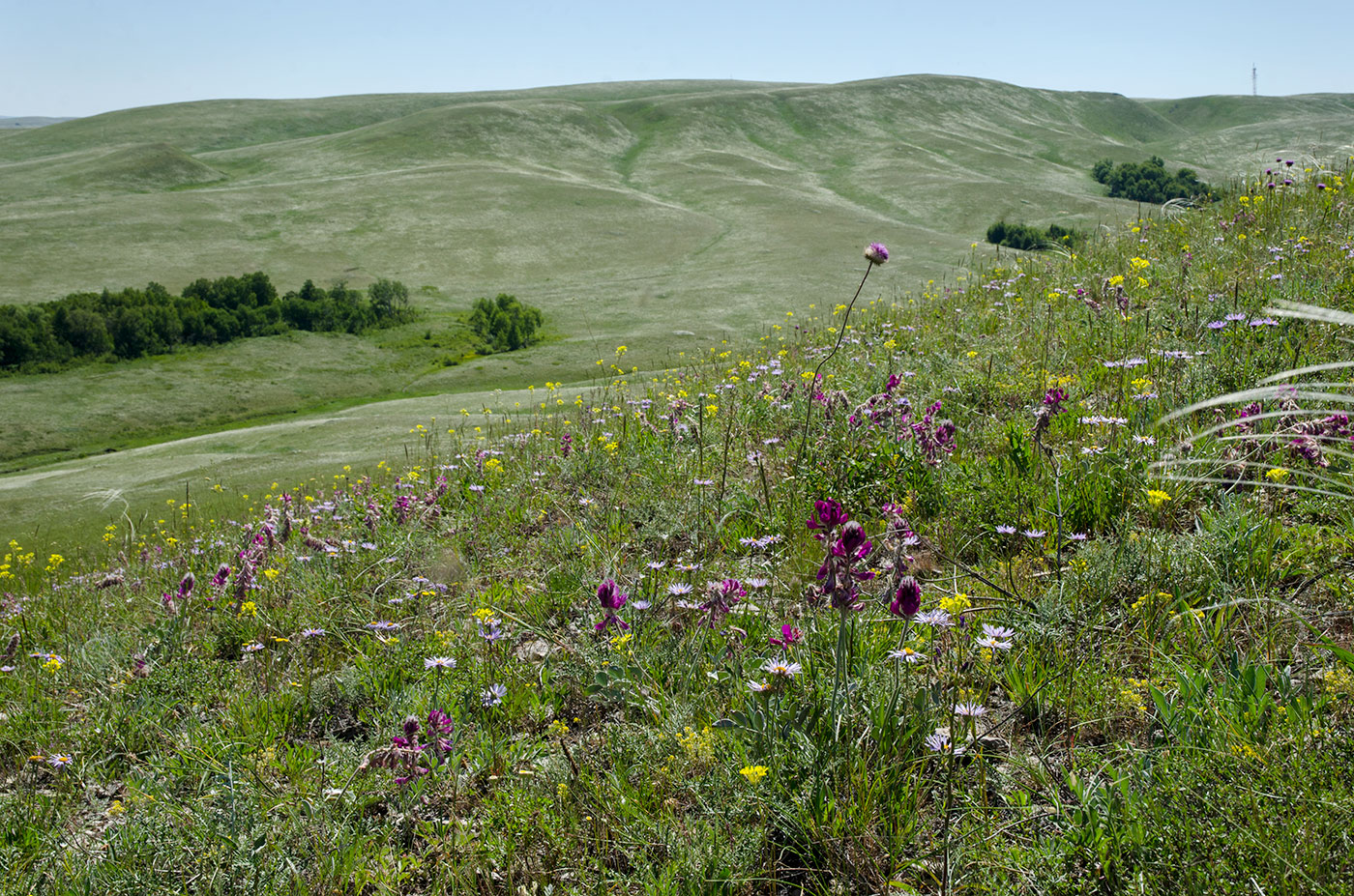 Ногайские горы, image of landscape/habitat.