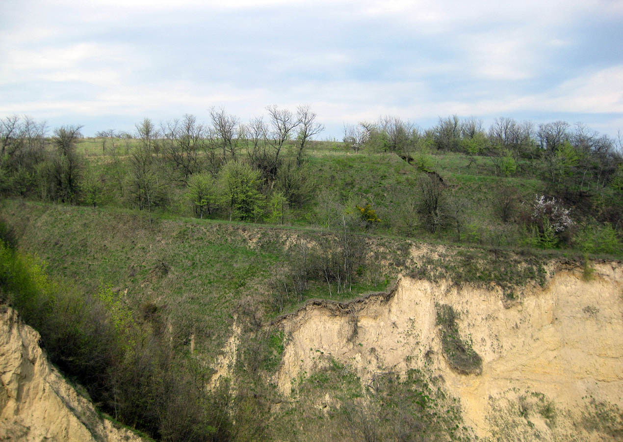 Трахтемиров, image of landscape/habitat.