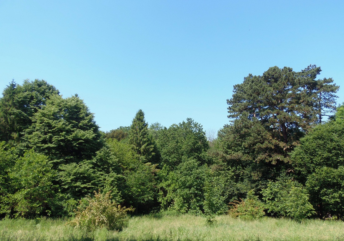 Трускавец, image of landscape/habitat.