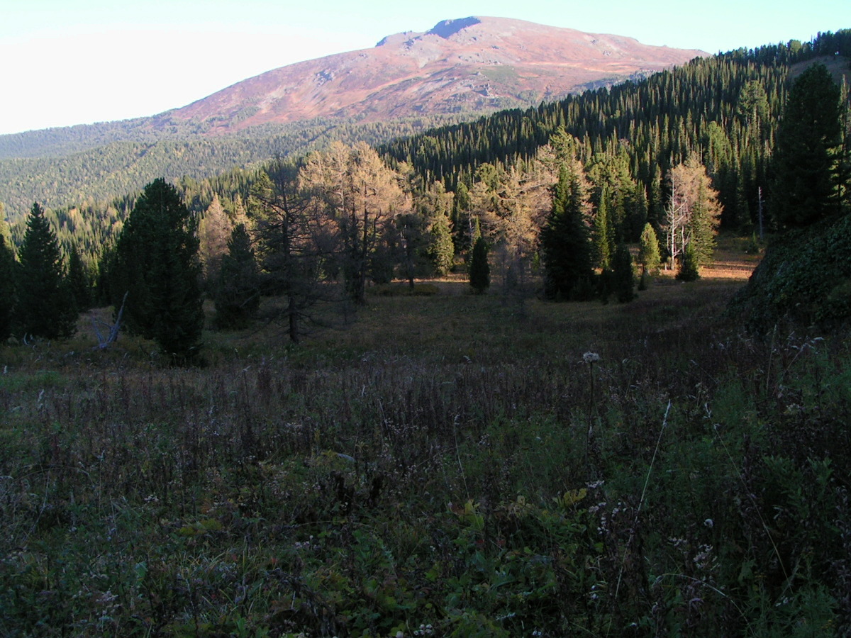 Гора Красная, image of landscape/habitat.