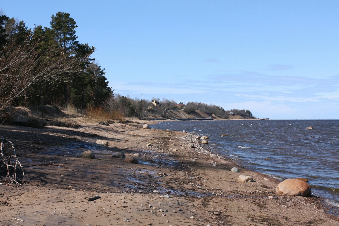 Лебяжье, image of landscape/habitat.