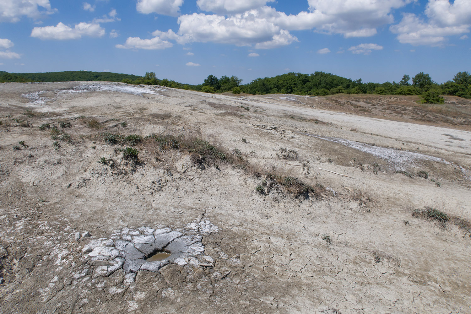 Гладковские сопки, image of landscape/habitat.