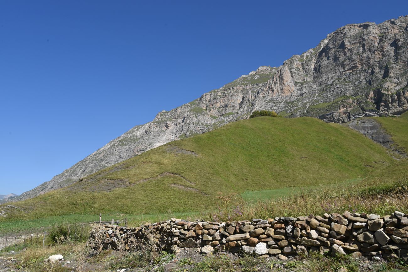 Урочище Хилиди, image of landscape/habitat.