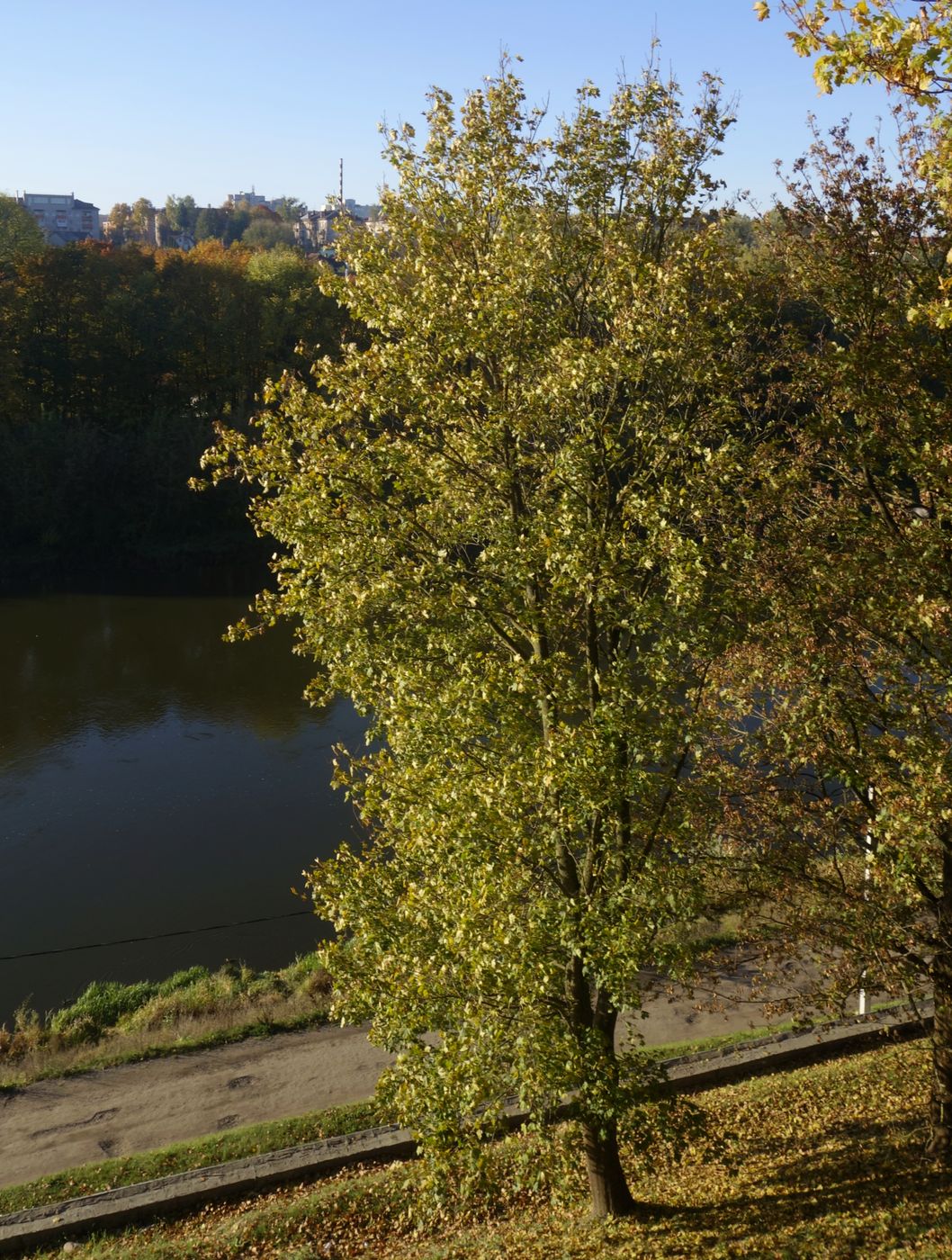 Коложа, image of landscape/habitat.