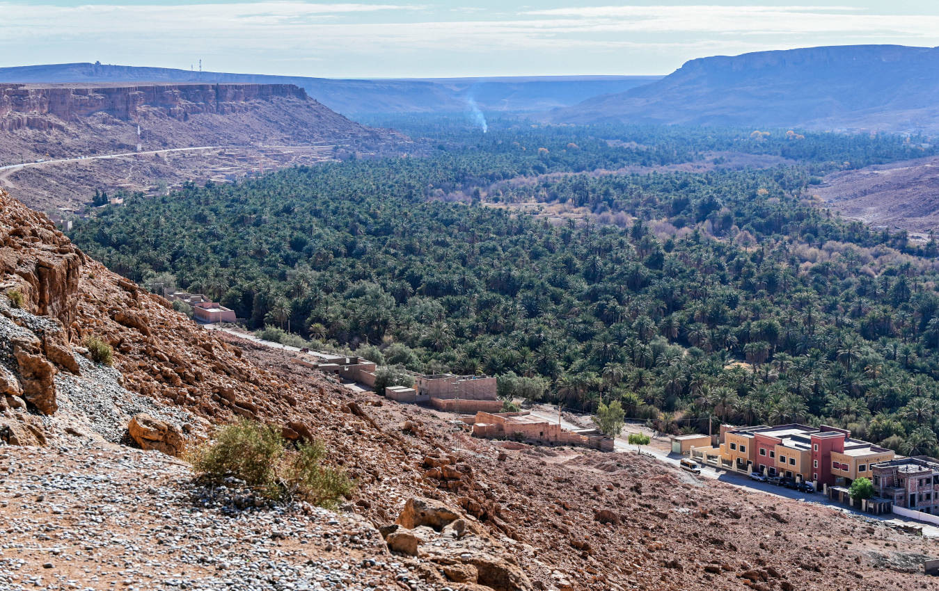 Окрестности города Эр-Рашидия, image of landscape/habitat.