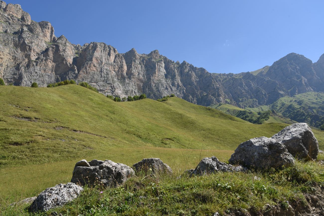 Урочище Хилиди, image of landscape/habitat.