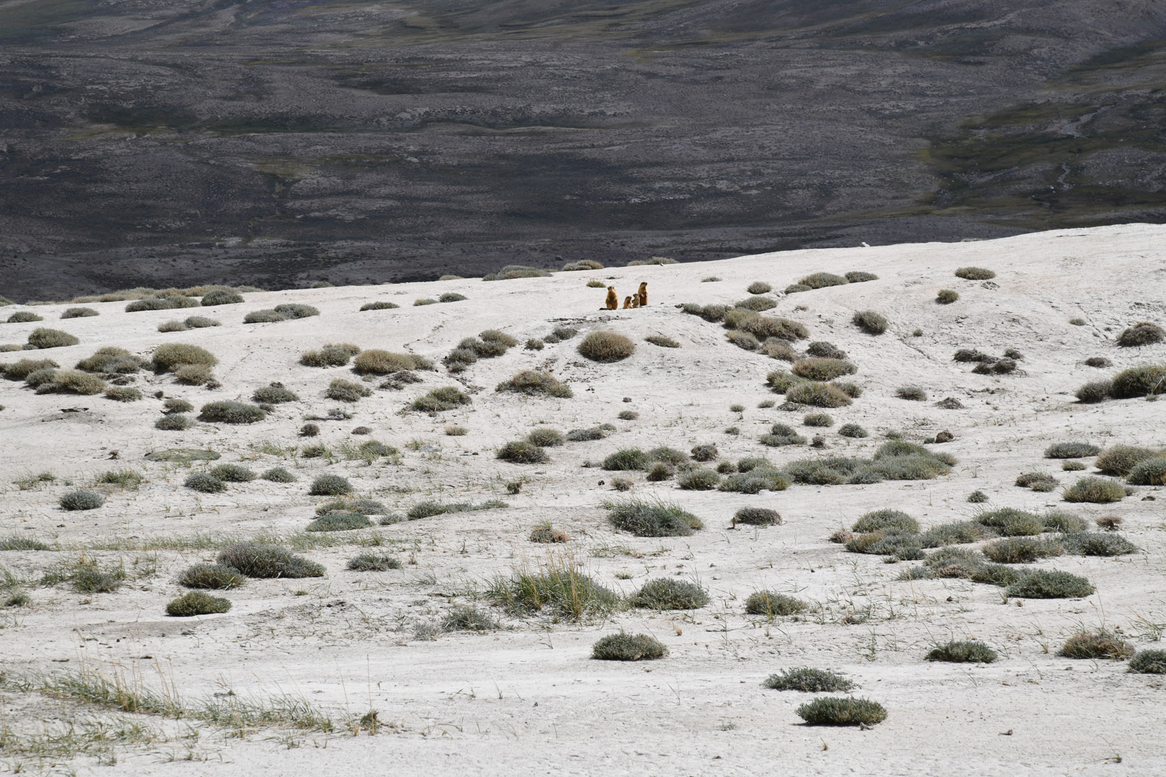 Тагаркаты, image of landscape/habitat.